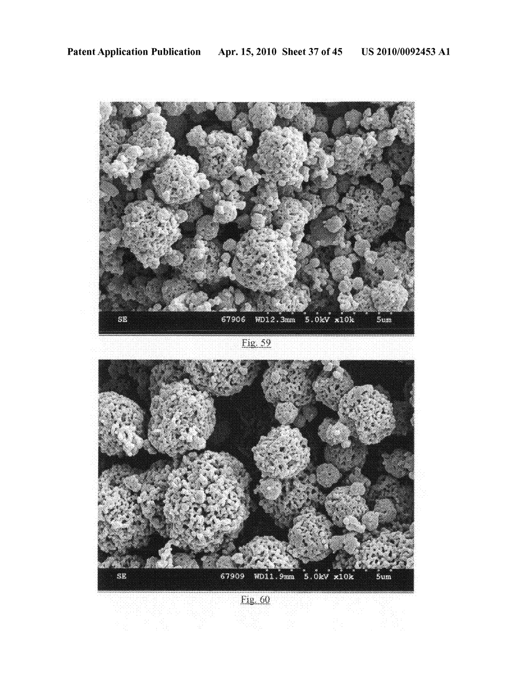 Method of producing porous microparticles - diagram, schematic, and image 38