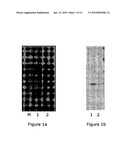 Compositions monovalent for CD40L binding and methods of use diagram and image