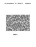 ANTIGENICITY OF INFECTIOUS PANCREATIC NECROSIS VIRUS VP2 SUB-VIRAL PARTICLES EXPRESSED IN YEAST diagram and image