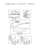 PROTEIN KINASE C IOTA diagram and image