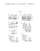 PROTEIN KINASE C IOTA diagram and image