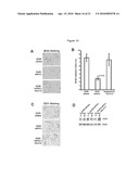 PROTEIN KINASE C IOTA diagram and image