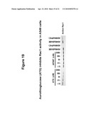 PROTEIN KINASE C IOTA diagram and image