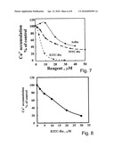 FLUORESCENT RUTHENIUM COMPOUNDS FOR DETECTING CALCIUM BINDING PROTEINS diagram and image