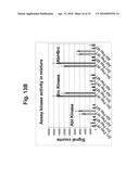 Methods for identifying biomarkers, autoantibody signatures, and stratifying subject groups using peptide arrays diagram and image