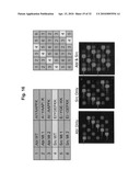 Methods for identifying biomarkers, autoantibody signatures, and stratifying subject groups using peptide arrays diagram and image