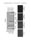 Methods for identifying biomarkers, autoantibody signatures, and stratifying subject groups using peptide arrays diagram and image