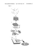 Methods for producing high density patterned cell arrays for biological assays diagram and image