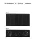 Methods for producing high density patterned cell arrays for biological assays diagram and image