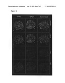 Methods for producing high density patterned cell arrays for biological assays diagram and image