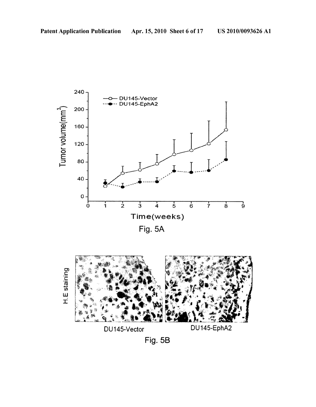 PEPTIDE AND SMALL MOLECULE AGONISTS OF EPHA AND THEIR USES IN DISEASE - diagram, schematic, and image 07