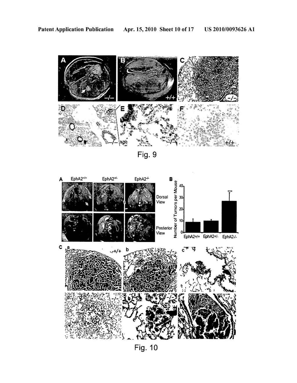 PEPTIDE AND SMALL MOLECULE AGONISTS OF EPHA AND THEIR USES IN DISEASE - diagram, schematic, and image 11