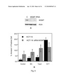 MGMT INHIBITOR COMBINATION FOR THE TREATMENT OF NEOPLASTIC DISORDERS diagram and image