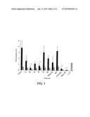 Artemisinin Derivatives diagram and image