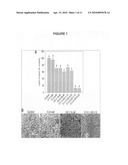 Compositions and methods of the treatment of obesity and osteoporosis diagram and image