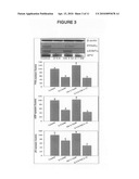 Compositions and methods of the treatment of obesity and osteoporosis diagram and image