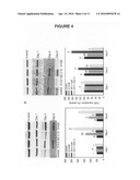 Compositions and methods of the treatment of obesity and osteoporosis diagram and image