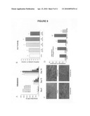 Compositions and methods of the treatment of obesity and osteoporosis diagram and image