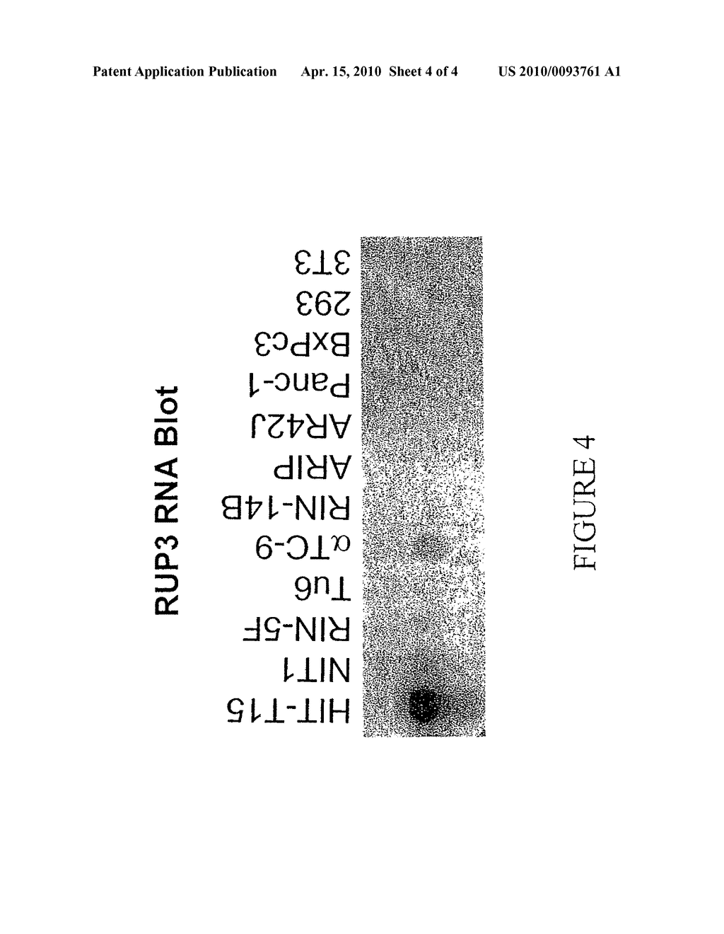 FUSED-ARYL AND HETEROARYL DERIVATIVES AS MODULATORS OF METABOLISM AND THE PROPHYLAXIS AND TREATMENT OF DISORDERS RELATED THERETO - diagram, schematic, and image 05