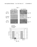 STEROIDAL COMPOUNDS AS MELANOGENESIS MODIFIERS AND USES THEREOF diagram and image