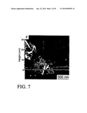 Functional graphene-polymer nanocomposites for gas barrier applications diagram and image