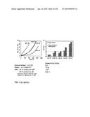 Functional graphene-polymer nanocomposites for gas barrier applications diagram and image