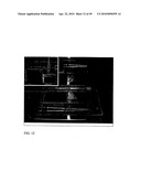 Functional graphene-polymer nanocomposites for gas barrier applications diagram and image