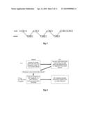 AVOIDANCE OF FEEDBACK COLLISION IN MOBILE COMMUNICATIONS diagram and image