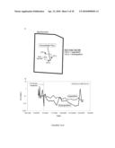 IN-SITU SYSTEMS AND METHODS FOR THE IMMOBILIZATION OF CONTAMINANTS diagram and image