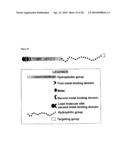 Compositions for Delivery of Therapeutics and Other Materials diagram and image