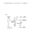 Compositions for Delivery of Therapeutics and Other Materials diagram and image