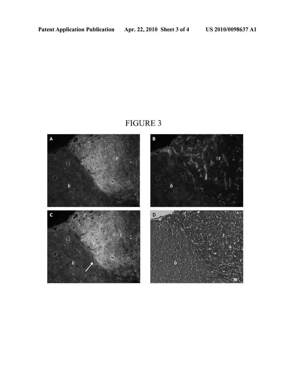 DYE-LOADED NANOPARTICLE - diagram, schematic, and image 04