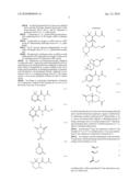 POLYMER CONJUGATES FOR A CONTROLLED RELEASE OF ACTIVE MOLECULES diagram and image