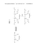 TREATMENT OF NEUROBLASTOMA WITH MULTI-ARM POLYMERIC CONJUGATES OF 7-ETHYL-10-HYDROXYCAMPTOTHECIN diagram and image