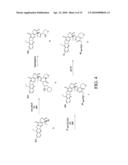 TREATMENT OF NEUROBLASTOMA WITH MULTI-ARM POLYMERIC CONJUGATES OF 7-ETHYL-10-HYDROXYCAMPTOTHECIN diagram and image