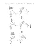 TREATMENT OF NEUROBLASTOMA WITH MULTI-ARM POLYMERIC CONJUGATES OF 7-ETHYL-10-HYDROXYCAMPTOTHECIN diagram and image