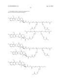 TREATMENT OF NEUROBLASTOMA WITH MULTI-ARM POLYMERIC CONJUGATES OF 7-ETHYL-10-HYDROXYCAMPTOTHECIN diagram and image