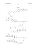 TREATMENT OF NEUROBLASTOMA WITH MULTI-ARM POLYMERIC CONJUGATES OF 7-ETHYL-10-HYDROXYCAMPTOTHECIN diagram and image