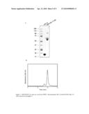 Biopolymer Conjugates Comprising an Interleukin-11 Analog diagram and image