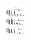 DIMERIC HIGH AFFINITY EGFR CONSTRUCTS AND USES THEREOF diagram and image