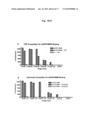 DIMERIC HIGH AFFINITY EGFR CONSTRUCTS AND USES THEREOF diagram and image