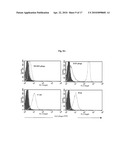 DIMERIC HIGH AFFINITY EGFR CONSTRUCTS AND USES THEREOF diagram and image