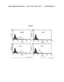 DIMERIC HIGH AFFINITY EGFR CONSTRUCTS AND USES THEREOF diagram and image