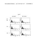 DIMERIC HIGH AFFINITY EGFR CONSTRUCTS AND USES THEREOF diagram and image