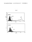 DIMERIC HIGH AFFINITY EGFR CONSTRUCTS AND USES THEREOF diagram and image