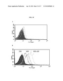 DIMERIC HIGH AFFINITY EGFR CONSTRUCTS AND USES THEREOF diagram and image