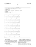 DIMERIC HIGH AFFINITY EGFR CONSTRUCTS AND USES THEREOF diagram and image