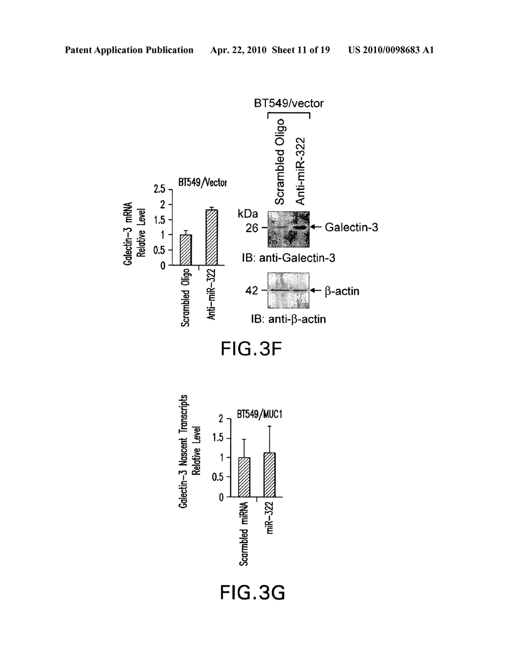 MUC1 and Galectin-3 - diagram, schematic, and image 12