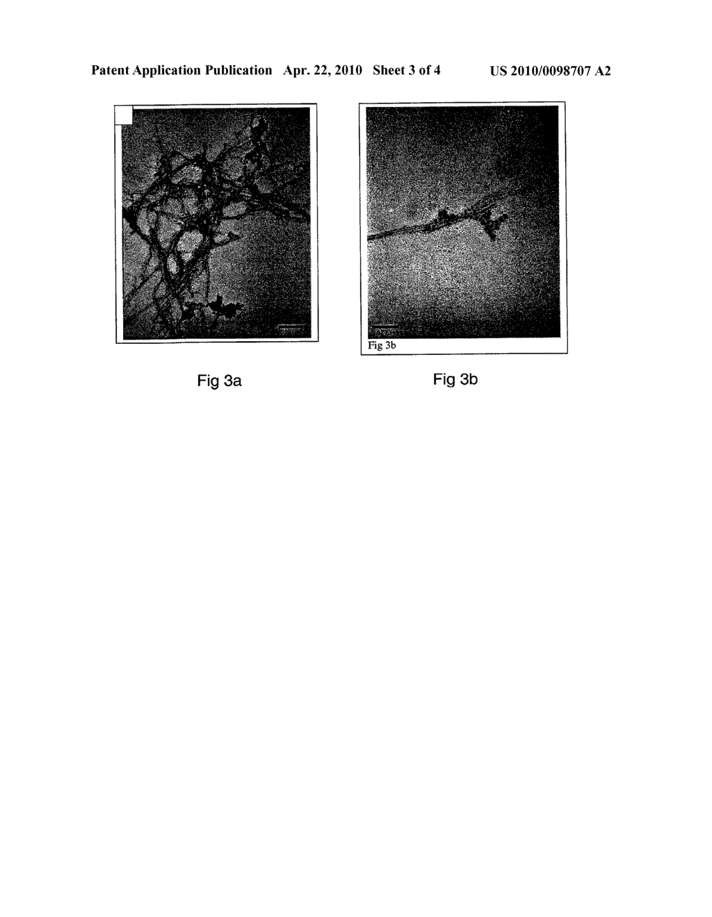 Monoclonal Antibody - diagram, schematic, and image 04