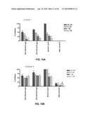 Anti-IGF-1R Antibodies and Uses Thereof diagram and image